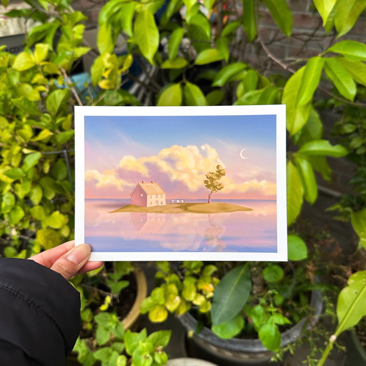 spirited island house print